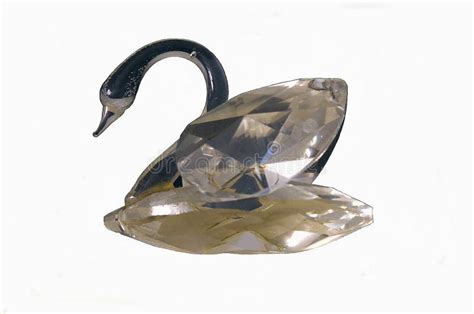 Cisne de cristal isolada imagem de stock. Imagem de bonito - 98733873