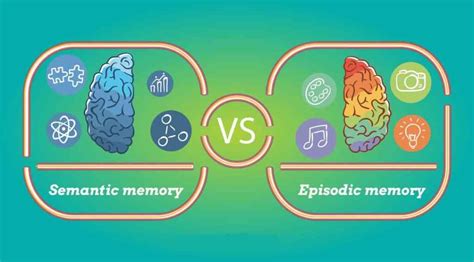 Episodic Memory and Semantic Memory | Facts, Difference & Types