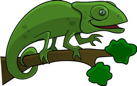 Free Chameleon Cliparts, Download Free Chameleon Cliparts png images ...