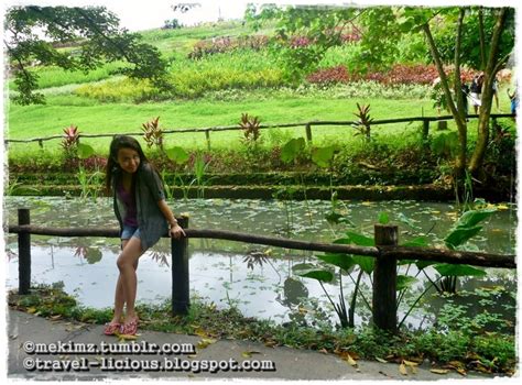 the traveller & her thoughts: LA MESA ECO PARK