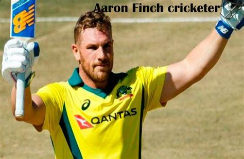 Aaron Finch Cricketer, Batting, IPL, wife, family, age, height, and more