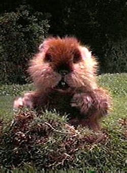 Caddyshack Gopher Quotes. QuotesGram