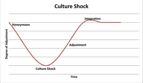 Culture Shock Curve