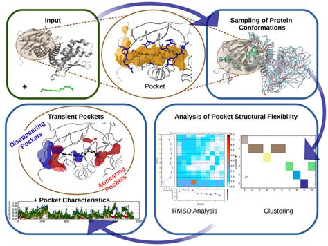 Graphical Abstracts - Examples | Nucleic Acids Research | Oxford ...