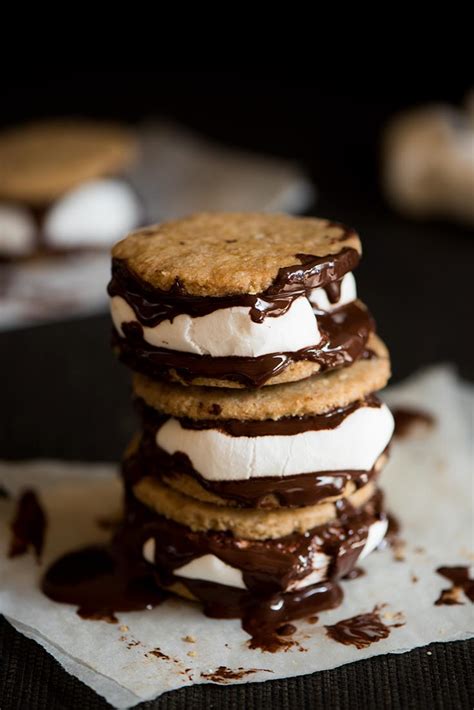 Dark Chocolate Digestive Biscuits S'mores | Curious Nut