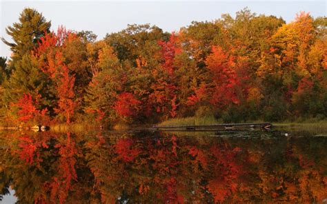 60 of our favourite photos of Canadian fall foliage | Cottage Life | Fall foliage, Ontario ...