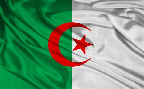 Algeria Flag Various Styles ,Algeria Flag Wallpapes, ~ World Flag Pictures|World Flag 3D ...