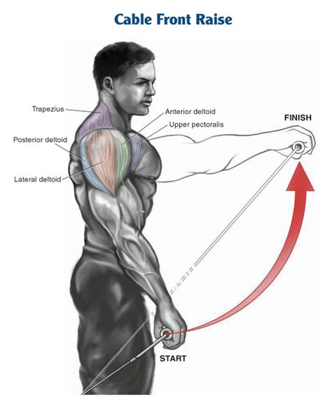 Shoulder Muscles Workout – How to get wide, broad shoulders Part I ~ multiple fitness