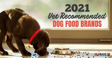 What Is Vet Recommended Dog Food