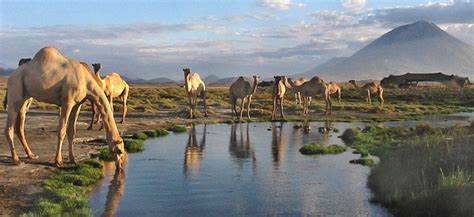 Lake Natron - Hippo Tours