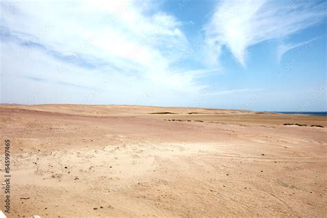 Paracas is a city on the west coast of Peru. It is known for its ...