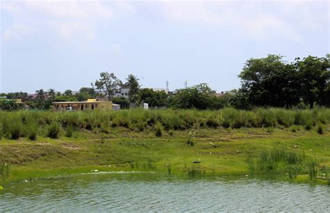 Yet another lake becomes a dump in Chennai