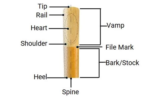 Parts Of The Clarinet - Clarinet Anatomy | Phamox Music