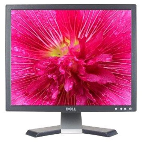 E196FPF Dell E196FPF 19 Inch Monitor LCD