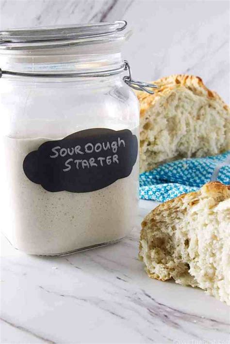 Wild Yeast Sourdough Starter - Savor the Best