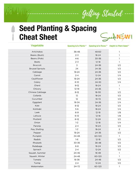 Flower Seeds Expiration Date - G4rden Plant