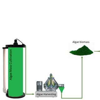 Microalgae harvesting and biomass production. | Download Scientific Diagram