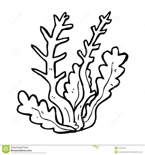 Seaweed coloring pages to download and print for free