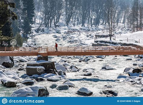 Beautiful View of Sonmarg in Winter, Sonmarg, Kashmir Editorial Photo ...