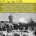 stalingrad battle wtf fun fact