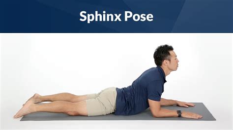 Sphinx Pose for Core Strength - YouTube