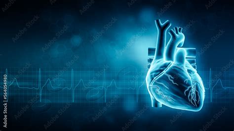 Human heart and EKG waveform 3D rendering illustration with copy space and blue background ...