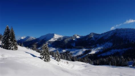 Wallpaper Winter, mountains, trees, snow, white world 2560x1600 HD ...