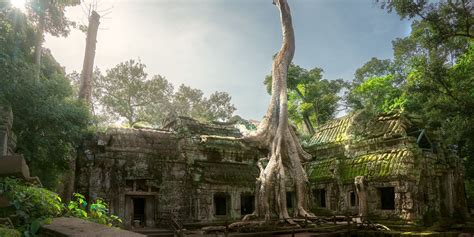 Ta Prohm Temple: Cambodia Tomb Raider Temple & A Must-Visit Temple