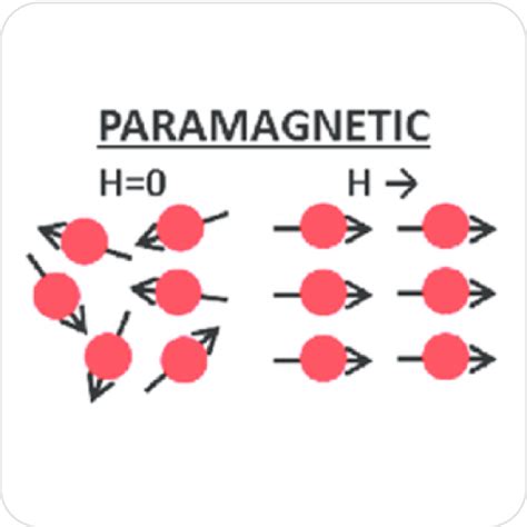 Magnetic Susceptibility Explained | Understanding Its Significance