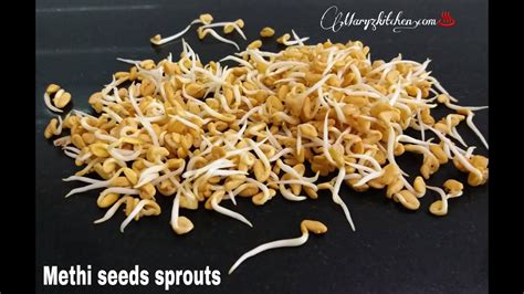 How to make methi sprouts /How to sprout fenugreek methi seeds/Health benefits of methi sprouts ...