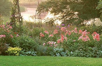 The Perennial Gardener