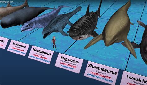 Just How Big Were Those Ancient Sea Creatures? - BARE Sports