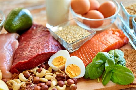 Protein-Rich Diet: Which foods?