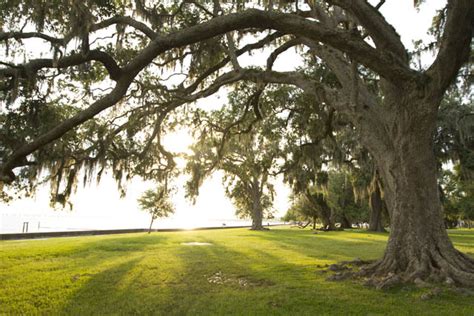 Events in The Northshore, St. Tammany Parish | Tour Louisiana