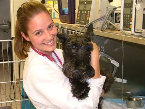 VCA BAY AREA VETERINARY SPECIALISTS & EMERGENCY HOSPITAL - Updated December 2024 - 219 Photos ...