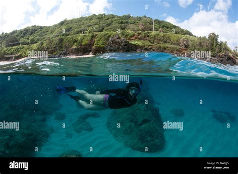 Woman snorkeling in Waimea Bay, North Shore of Oahu, Hawaii, USA Stock Photo - Alamy