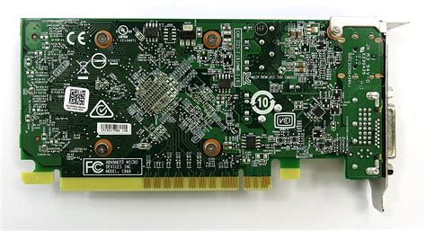 Dell 0F8PX AMD Radeon R5 430 2GB GDDR5 Low-Profile PCIe Graphics Card DP/DVI | eBay