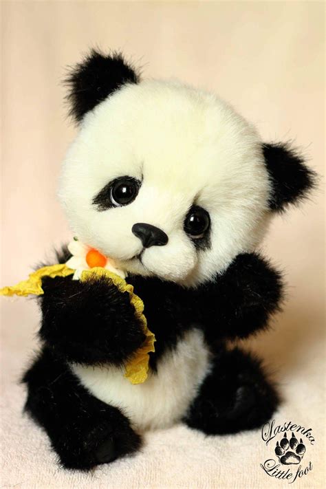 Pin on My Teddy Bear | Cute panda baby, Baby animals super cute, Cute ...