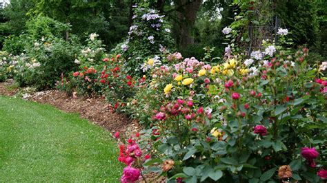 How To Build a Rainbow Garden - Great Garden Plants