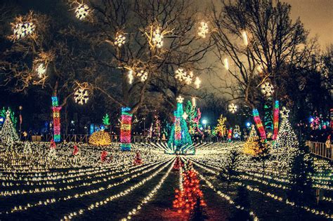 Lincoln Park ZooLights Starts Friday With Two Million Lights - Lincoln Park - Chicago - DNAinfo