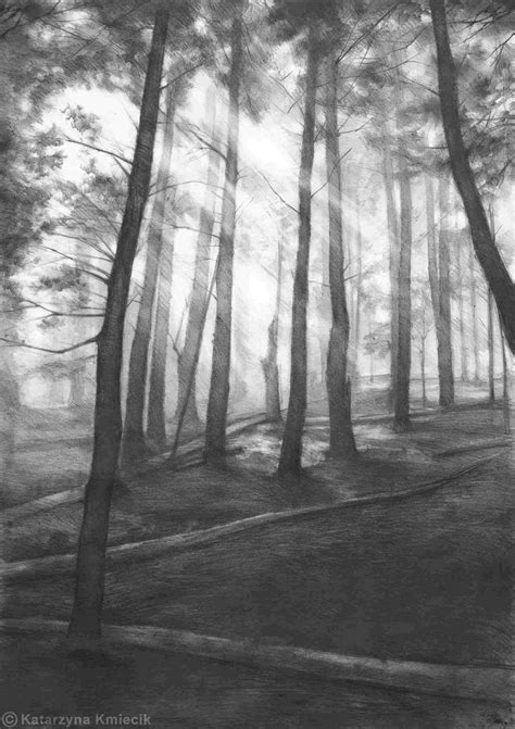 Forrest in 2020 | Pine tree drawing, Landscape pencil drawings, Tree ...