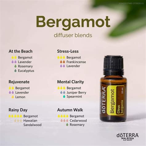 Bergamot diffuser blends – Artofit