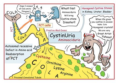 Cystinuria - Creative Med Doses