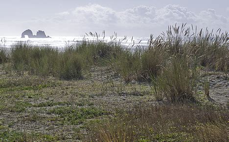 Rockaway Beach Oregon Attractions - Go Northwest! A Travel Guide