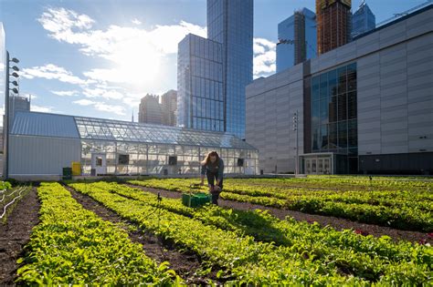 Featured Project: Javits Center Expansion Rooftop & Farm, New York ...