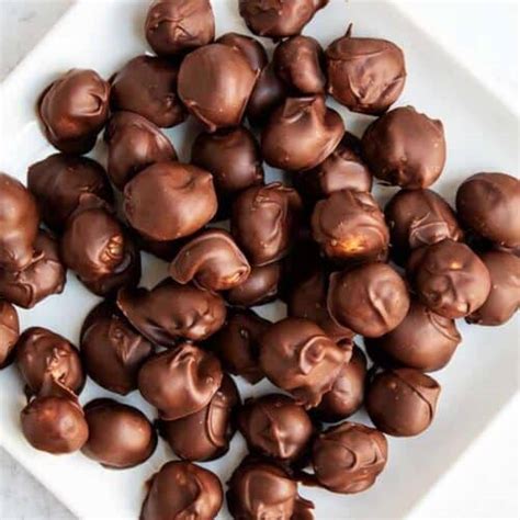 Chocolate-Covered Macadamia Nuts - ForgetSugar