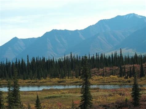 Fairbanks Pictures - Traveler Photos of Fairbanks, AK - TripAdvisor