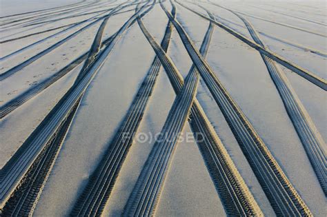 Tire tracks on soft surface of sand on beach. — usa, nature - Stock Photo | #266536992