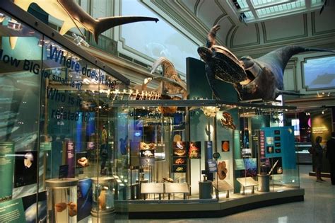 New Hall of the Oceans at the Smithsonian | Deep Sea News | Smithsonian, Living in washington dc ...