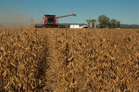 Illinois farmer discovers body while harvesting beans | AGDAILY